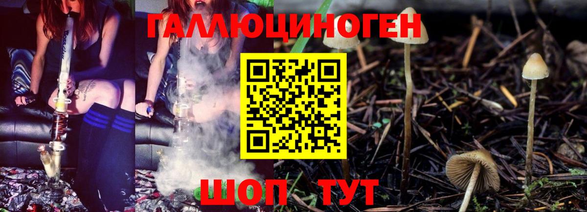 Псилоцибиновые грибы Magic Shrooms Ухта