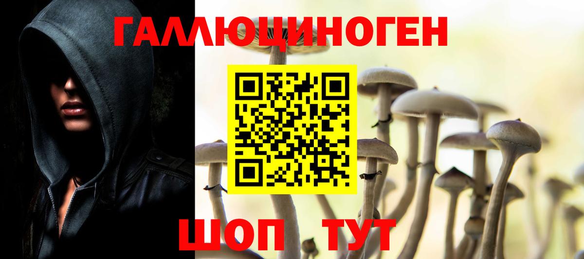 Ухта  Псилоцибиновые грибы ЛСД  Псилоцибиновые грибы Psilocybine cubensis  Вход с VPN 